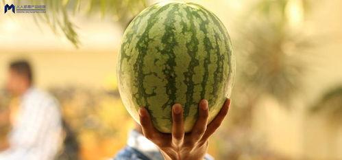 娱乐圈可以吃的大瓜,揭秘明星背后的惊人真相